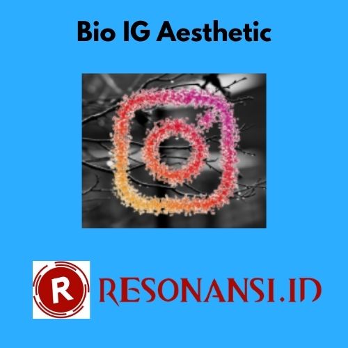 Bio IG Aesthetic