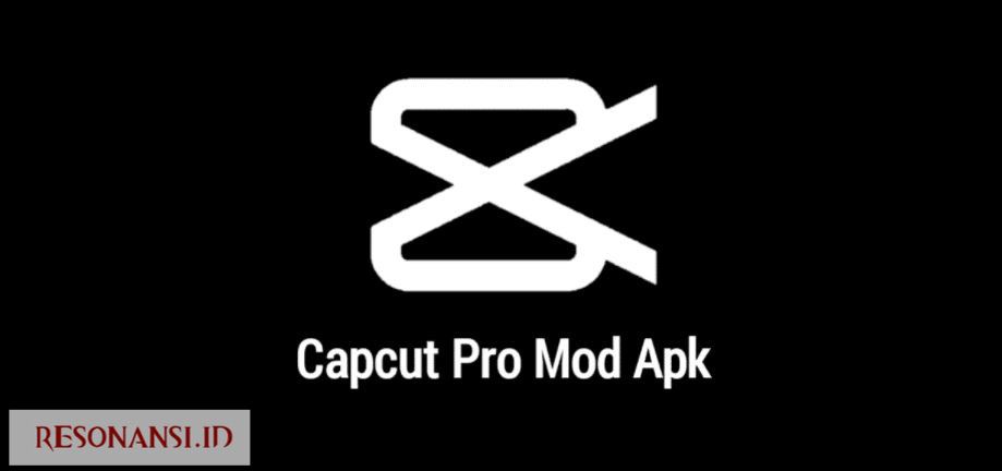 Review CapCut Pro