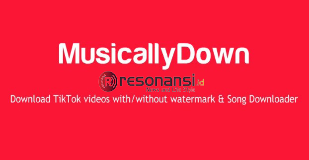 Review MusicallyDown