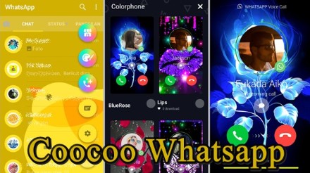 APK Coocoo WhatsApp MOD